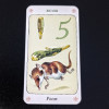 ТАРО ГНОМІВ (TAROT OF GNOMES (BORDERLESS WITH SIGNS))